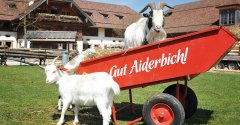 Traditioneller Ostermarkt auf Gut Aiderbichl